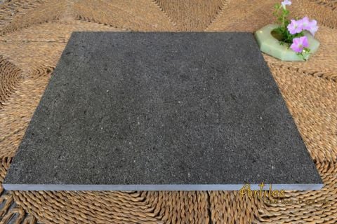  Mẫu gạch lát sân dày 20mm 