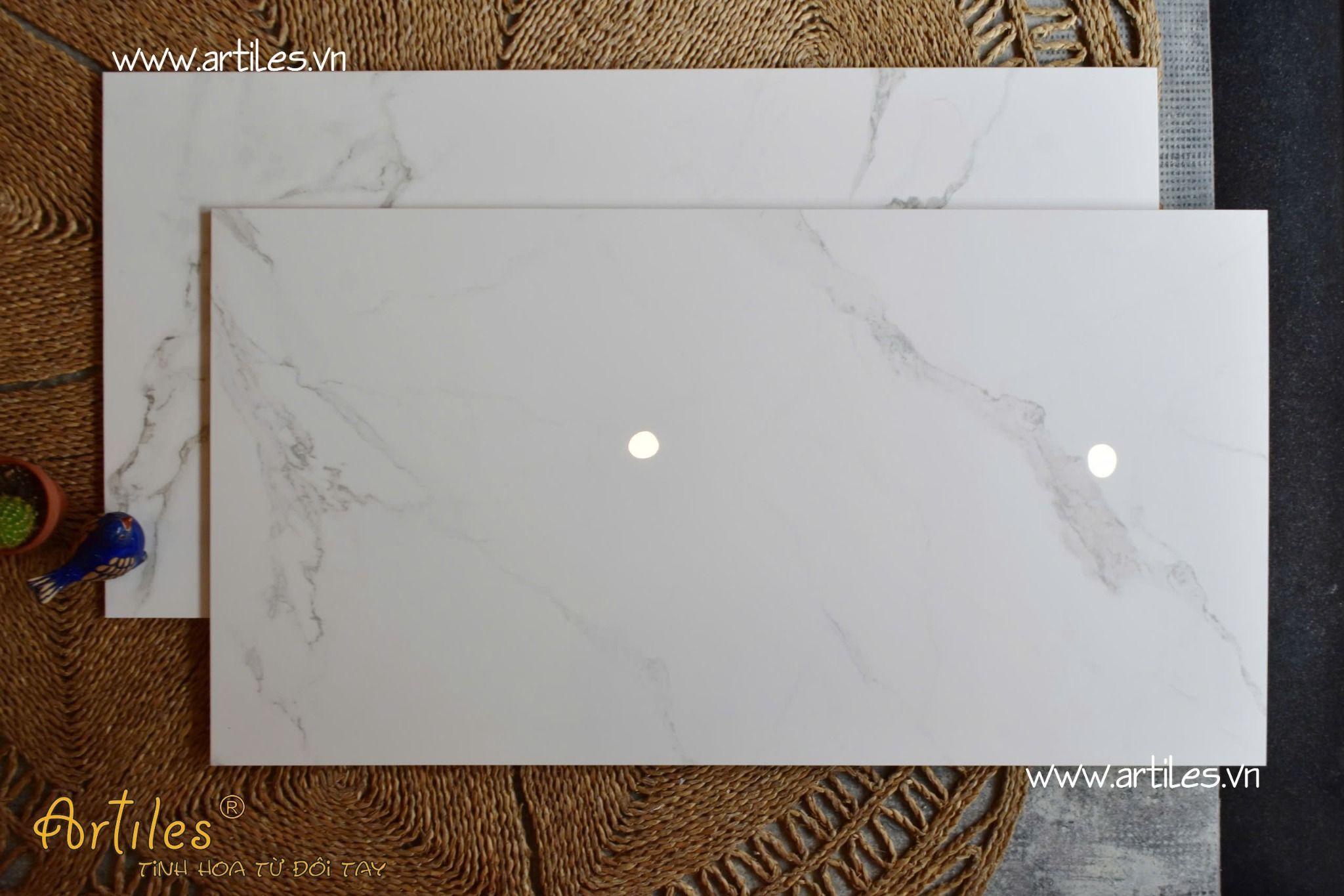 Vân Đá Marble CARARA 60x120cm bóng ArtGP05