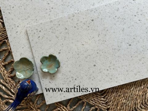  Gạch đá mài màu xám trắng Ter15 