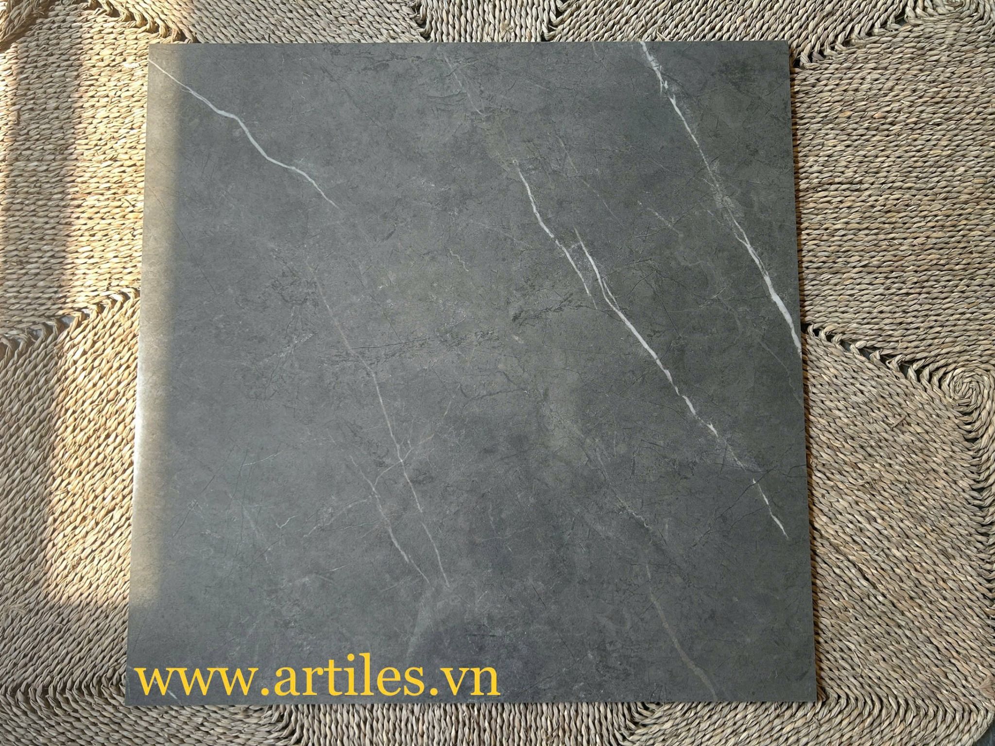 Gạch lát nền bóng kiếng 80x80cm - ArtPO803