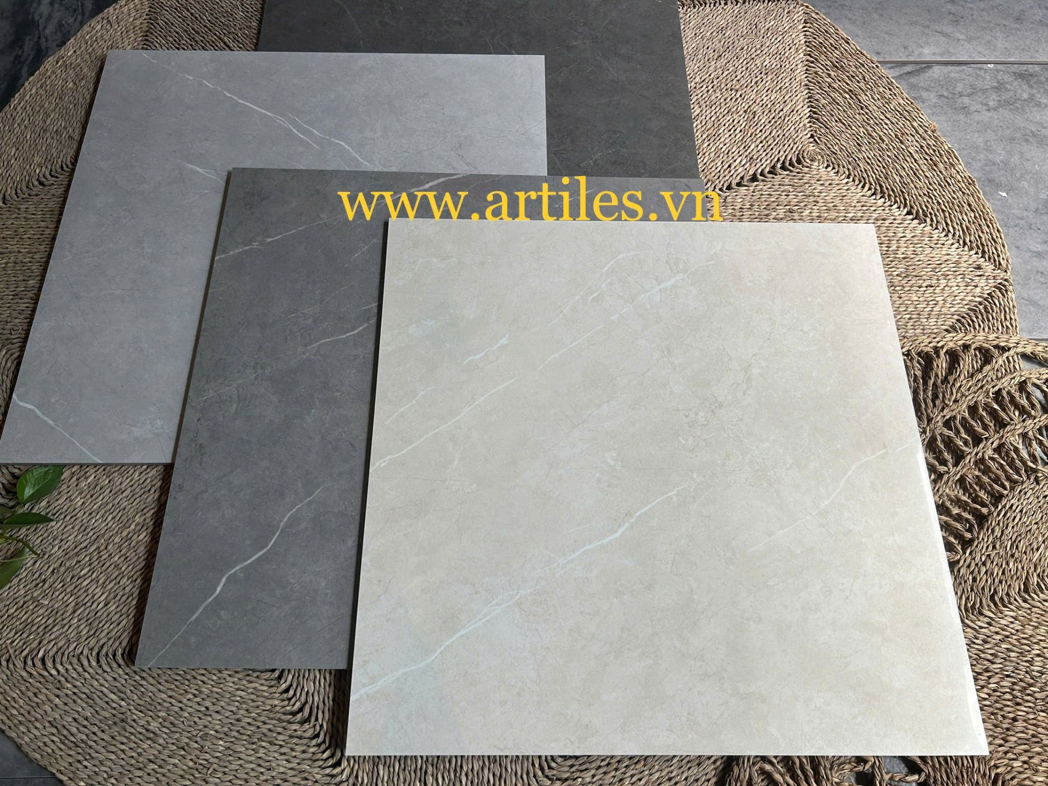 Gạch lát nền bóng kiếng 80x80cm - ArtPO804