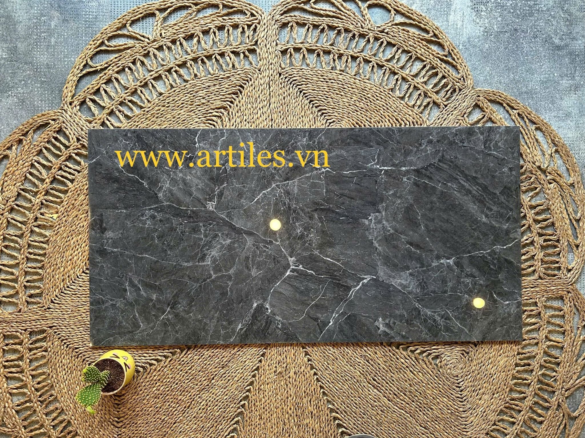 Gạch 60x120 bóng kiếng Art601204