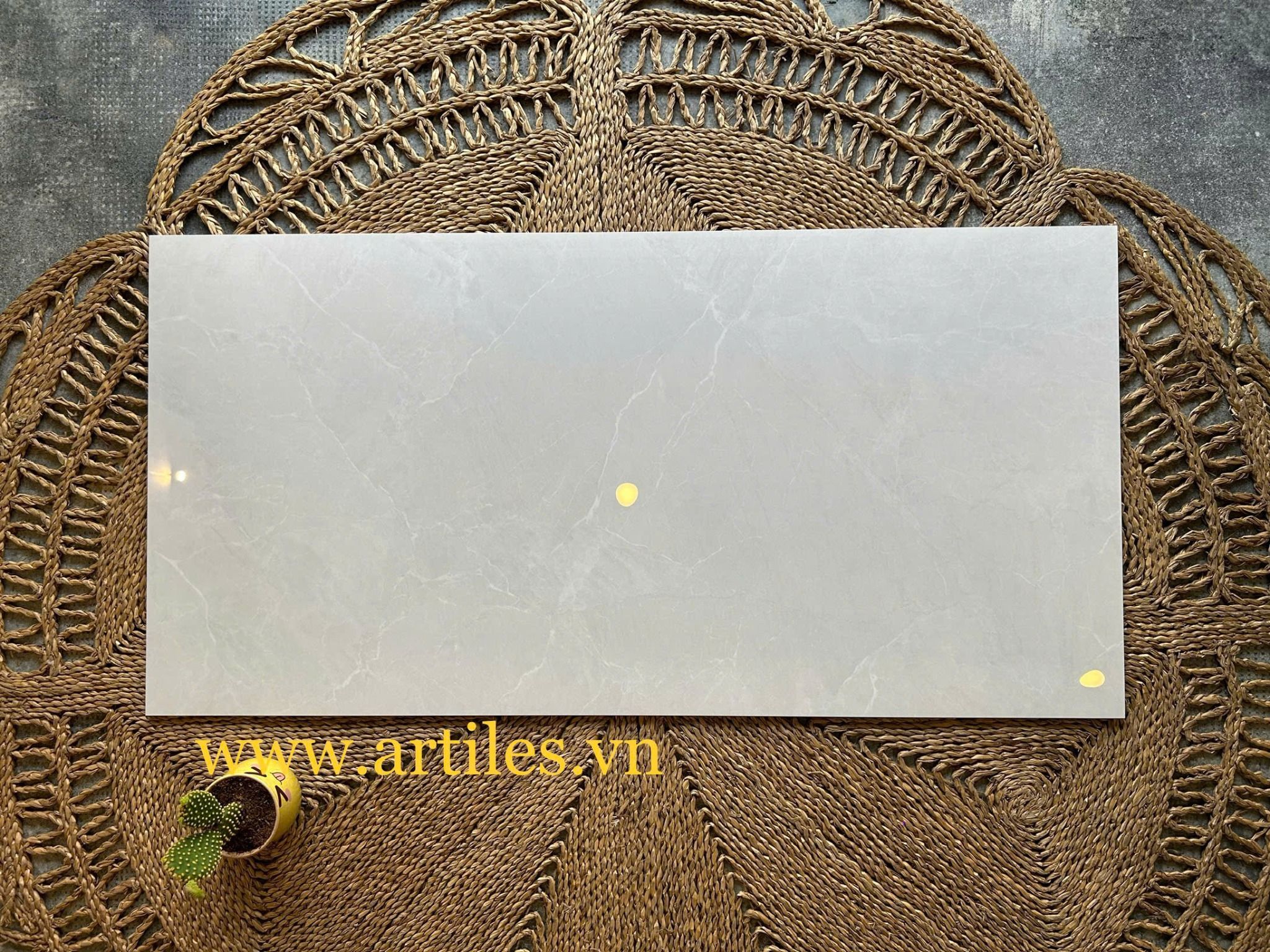 Gạch 60x120 bóng kiếng xám vân trắng