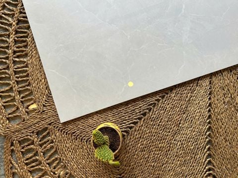  Gạch 60x120 bóng kiếng xám vân trắng 
