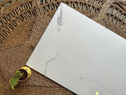  Gạch 60x120 bóng kiếng Art60120 