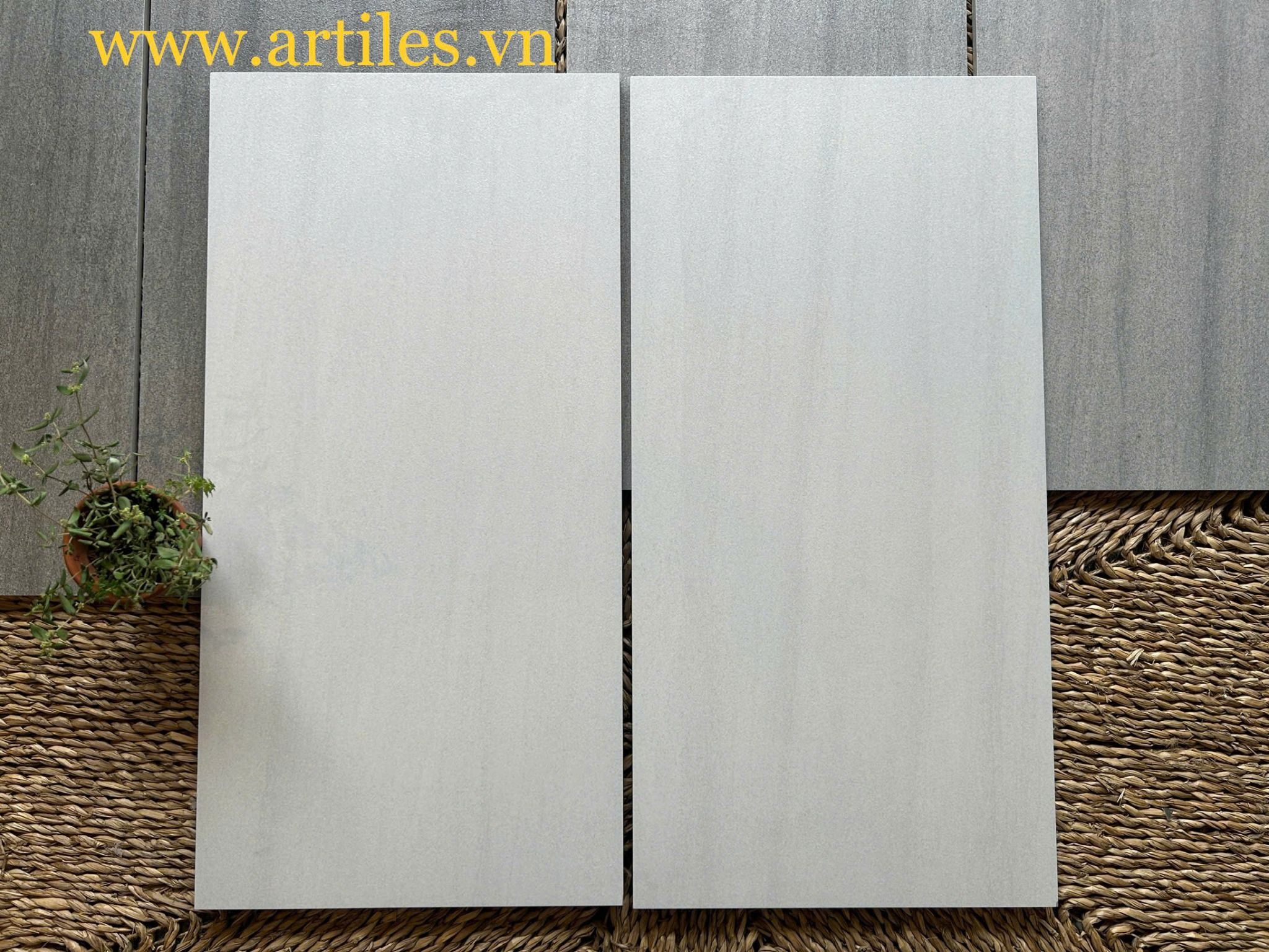 Gạch 30x60 ốp lát Art22