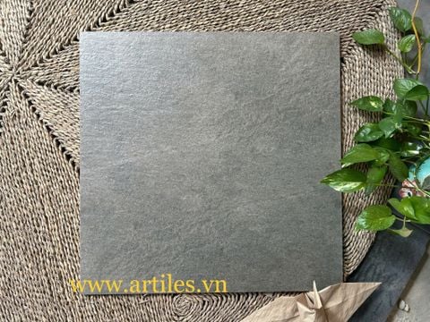  Gạch Taicera 60x60 G68764 
