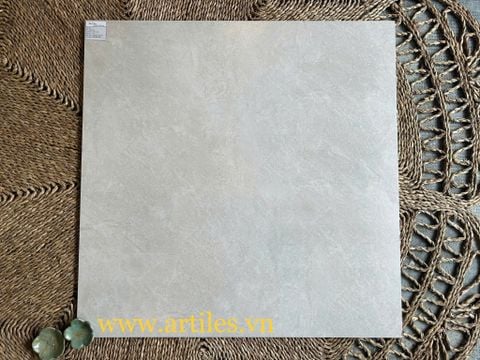  Gạch lát nền 60x60 màu xám sáng 