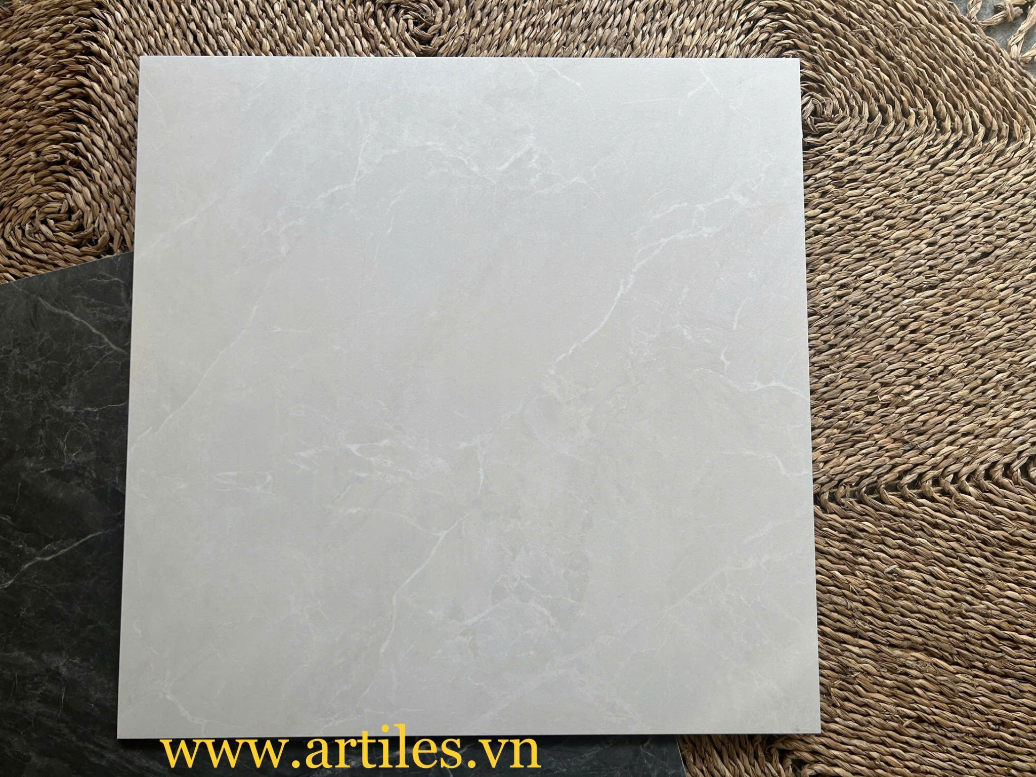 Gạch 60x60 vân đá xám trắng Art66003
