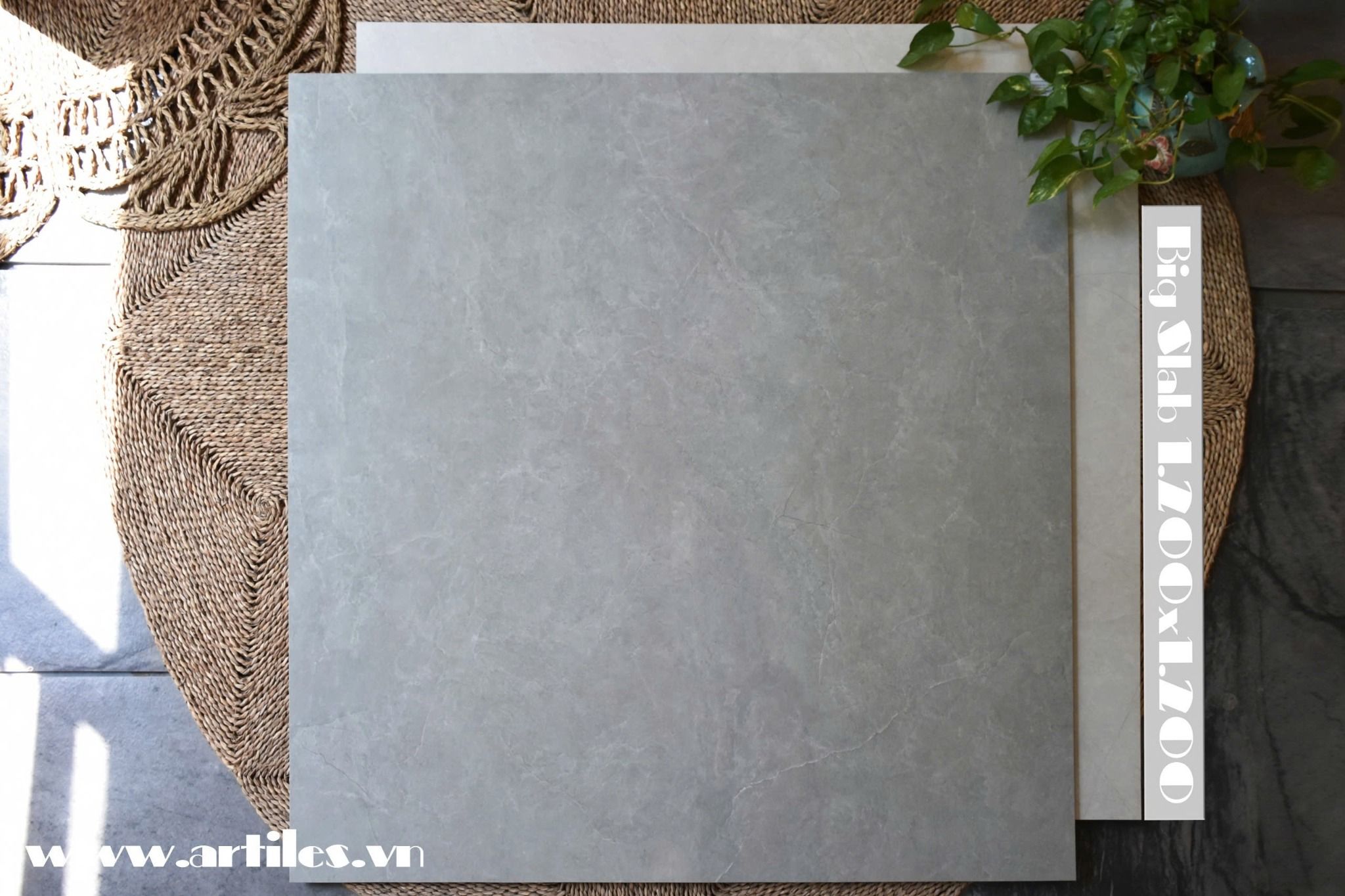 Gạch khổ lớn 1200mmx1200mm Viglacera SH3-P121202