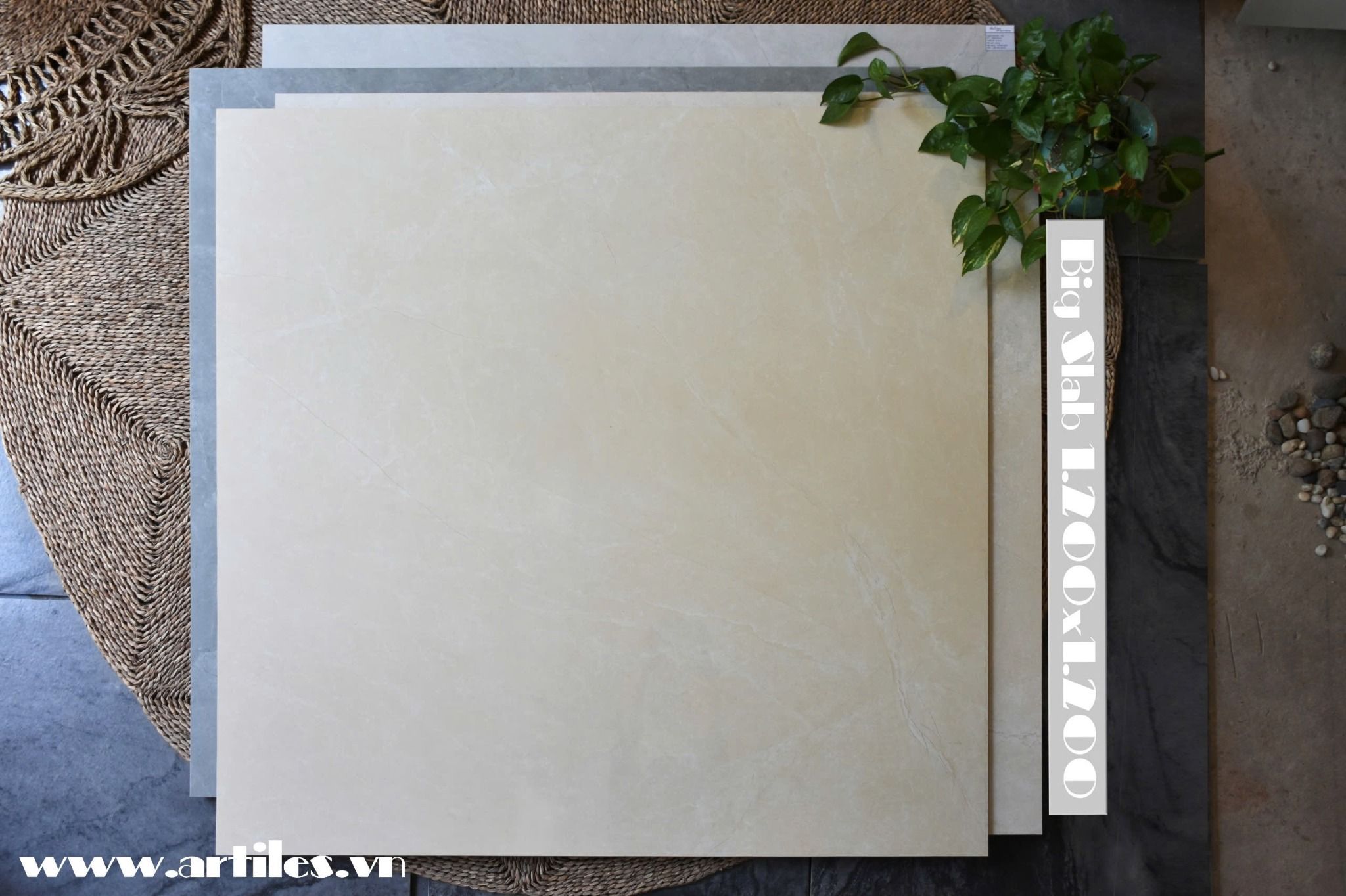 Gạch khổ lớn 1200mmx1200mm Viglacera AZ2-P121204