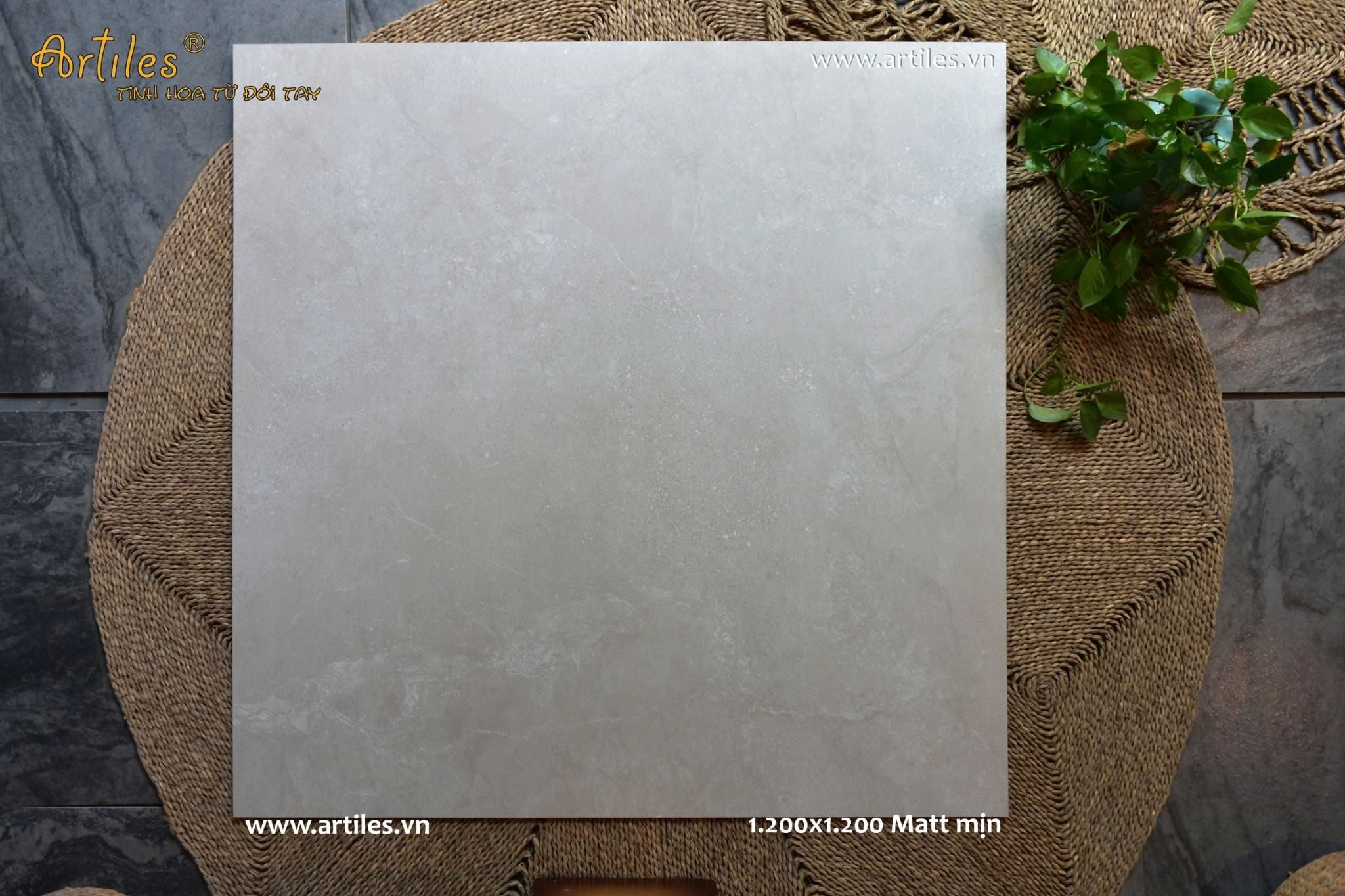 Gạch khổ lớn Viglacera 1.200 x1.200 mm mờ