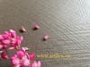 Gạch đồng chất (Full body) màu xám nâu