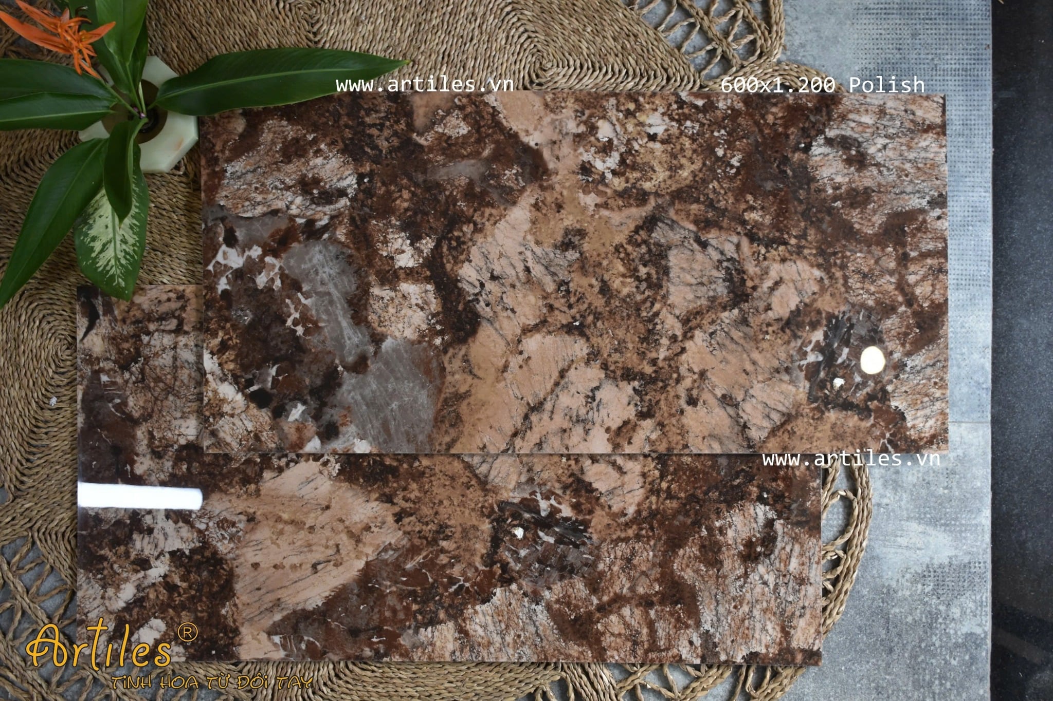 Gạch vân đá Marble màu nâu 60x120 ArtEB903