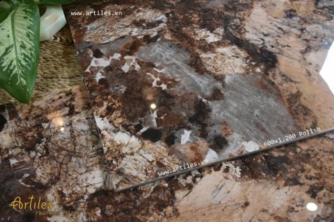  Gạch vân đá Marble màu nâu 60x120 ArtEB903 