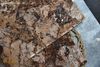 Gạch vân đá Marble màu nâu 60x120 ArtEB903