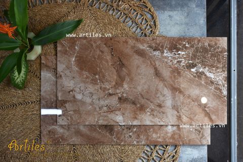  Gạch 60x120cm bóng vân đá nâu ArtMS904 