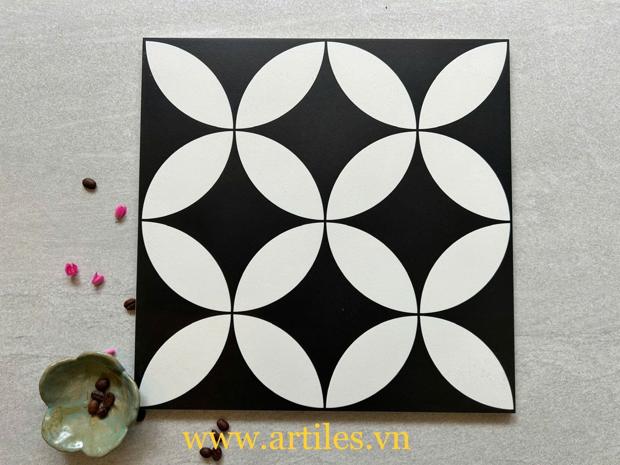 Gạch bông đồng tiền trắng