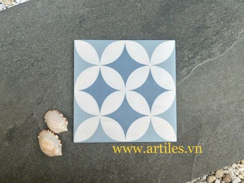  Đồng tiền xanh biển nền trắng 