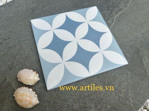 Đồng tiền xanh biển nền trắng 