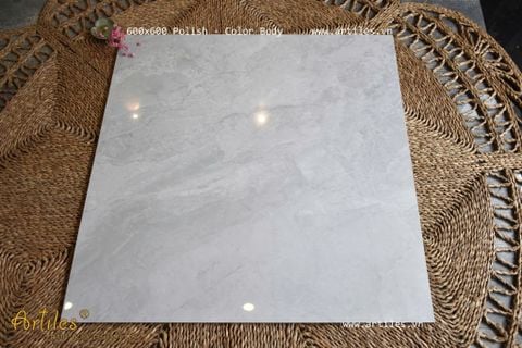  Gạch 60x60 bóng kiếng xương đá Art19 