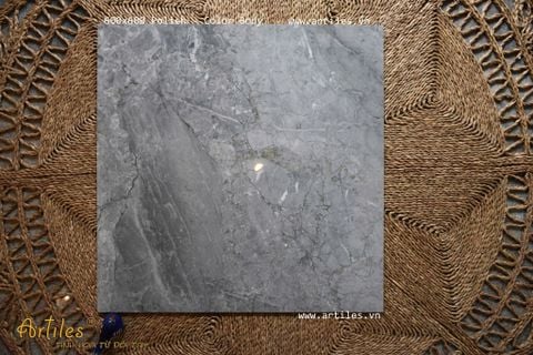  Gạch 60x60 bóng kiếng vân đá xám Art18 