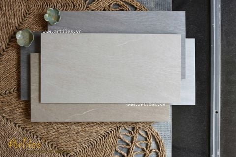  Gạch ốp lát 30x60 vân đá Ar101G 