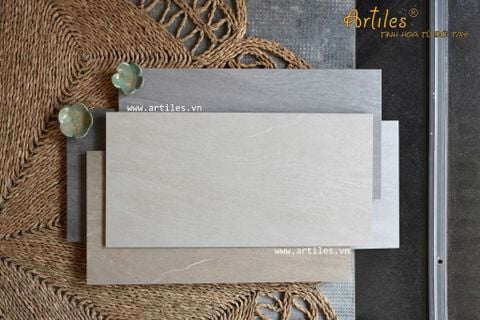  Gạch ốp lát 30x60 vân đá Ar101G 