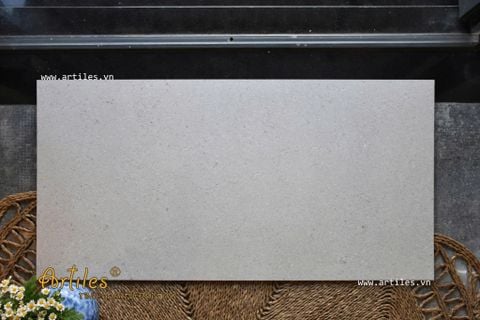  Gạch Đá Mài Hạt Nhỏ 60x120cm  Art-S126 