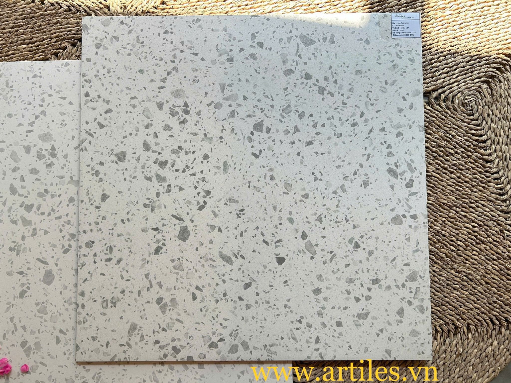 Gạch đá mài Terrazzo Malaysia TE07