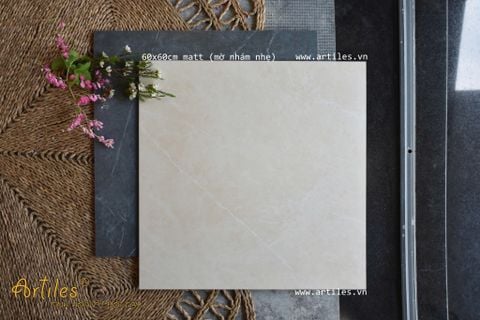  Gạch vân đá mờ 60x60cm ArtZ8-04 