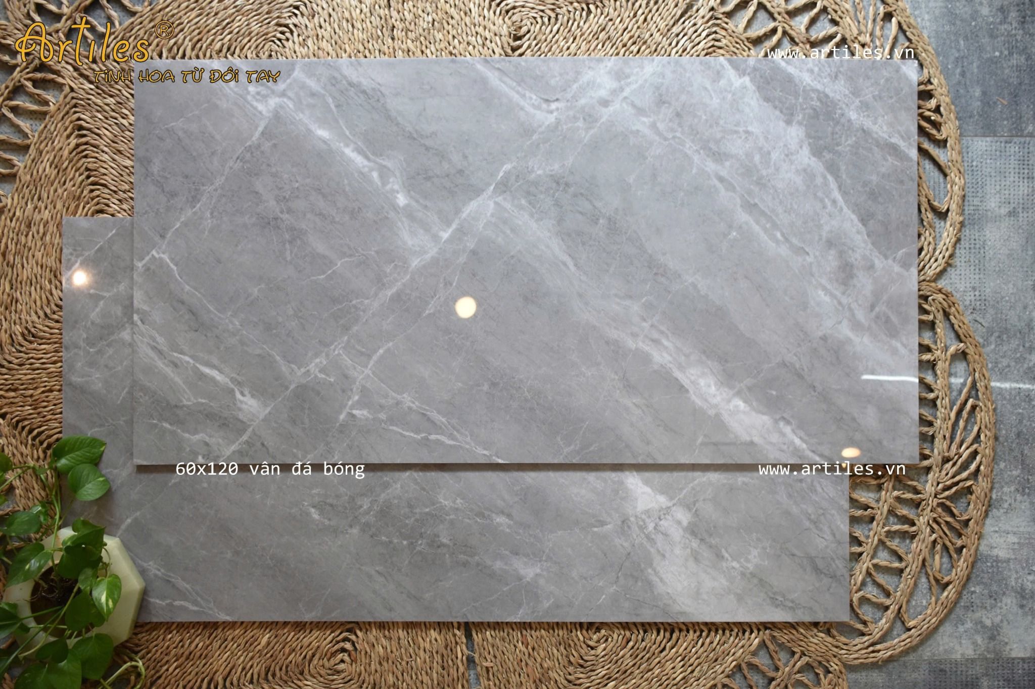 Gạch đá bóng kiếng 60x120cm Art057PM