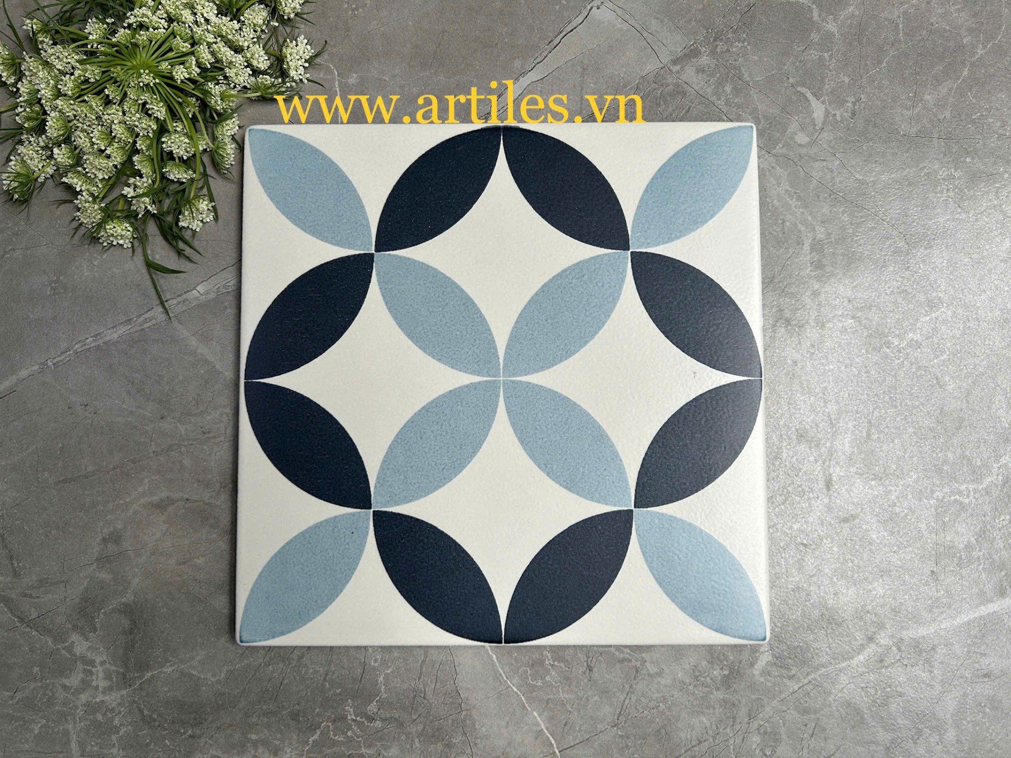 Gạch bông 20x20