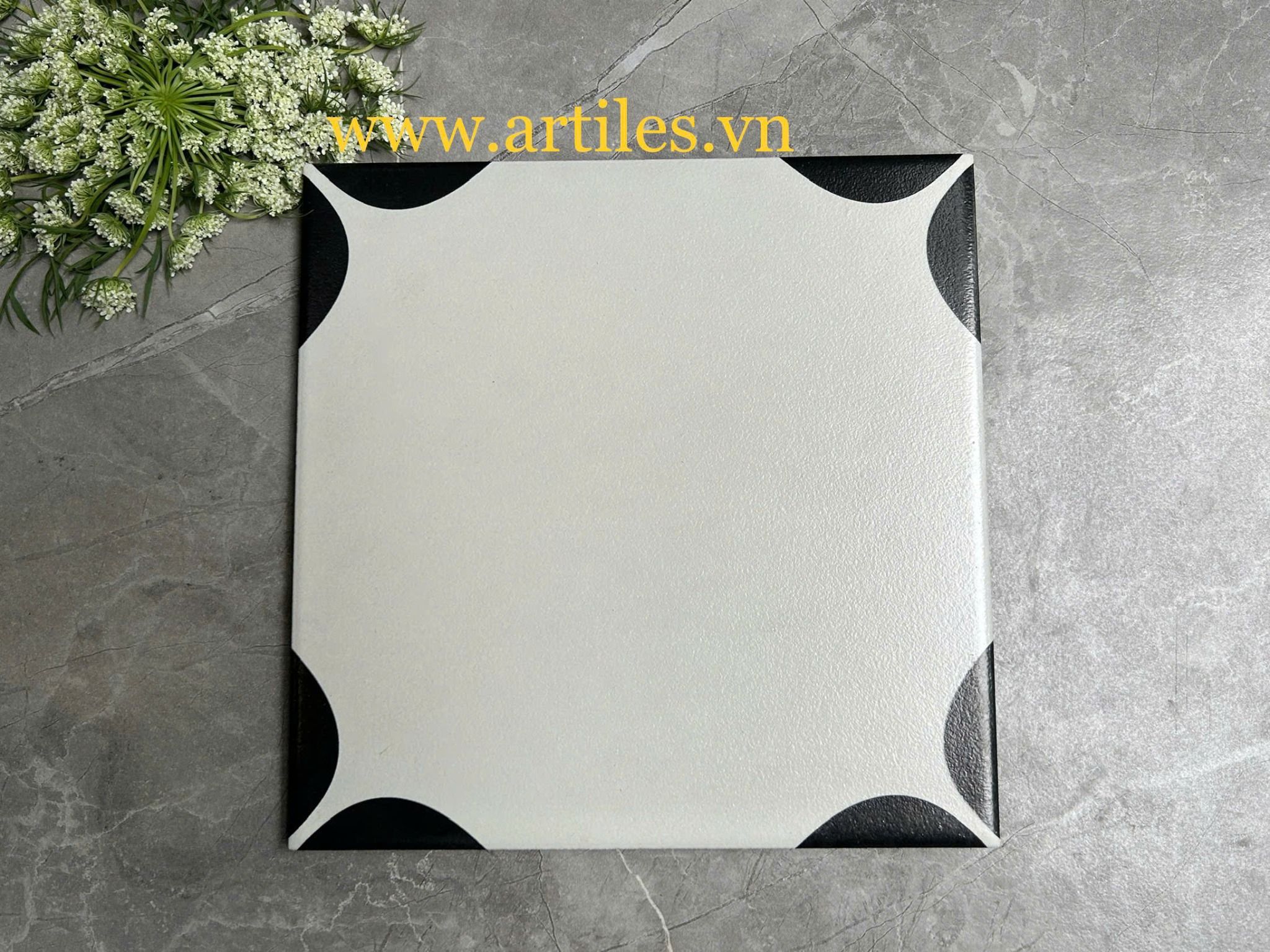 Gạch bông 20x20
