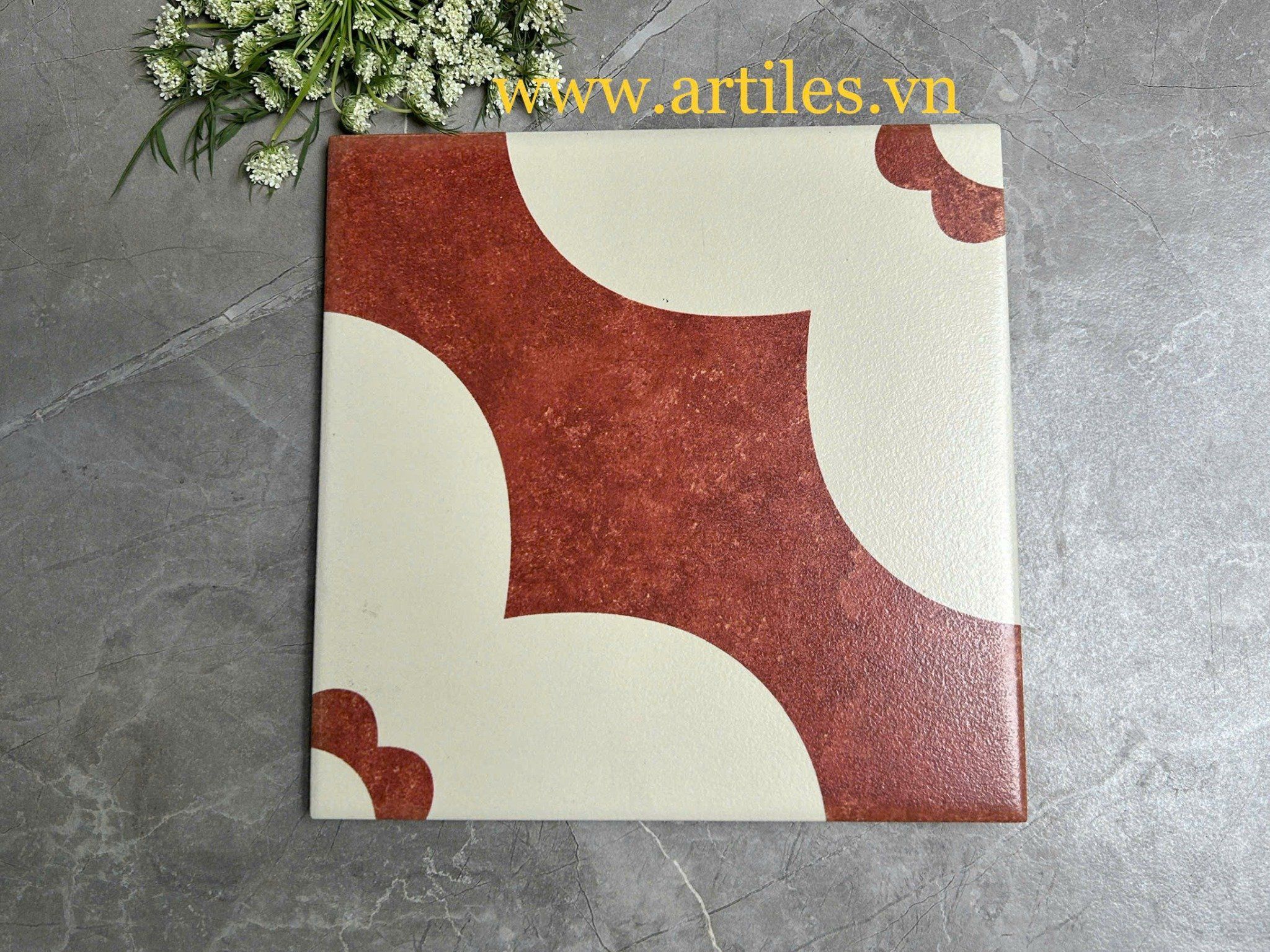 Gạch bông trắng nền đỏ