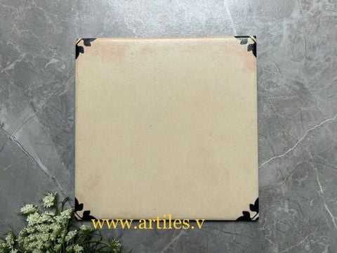 Gạch bông 20x20 