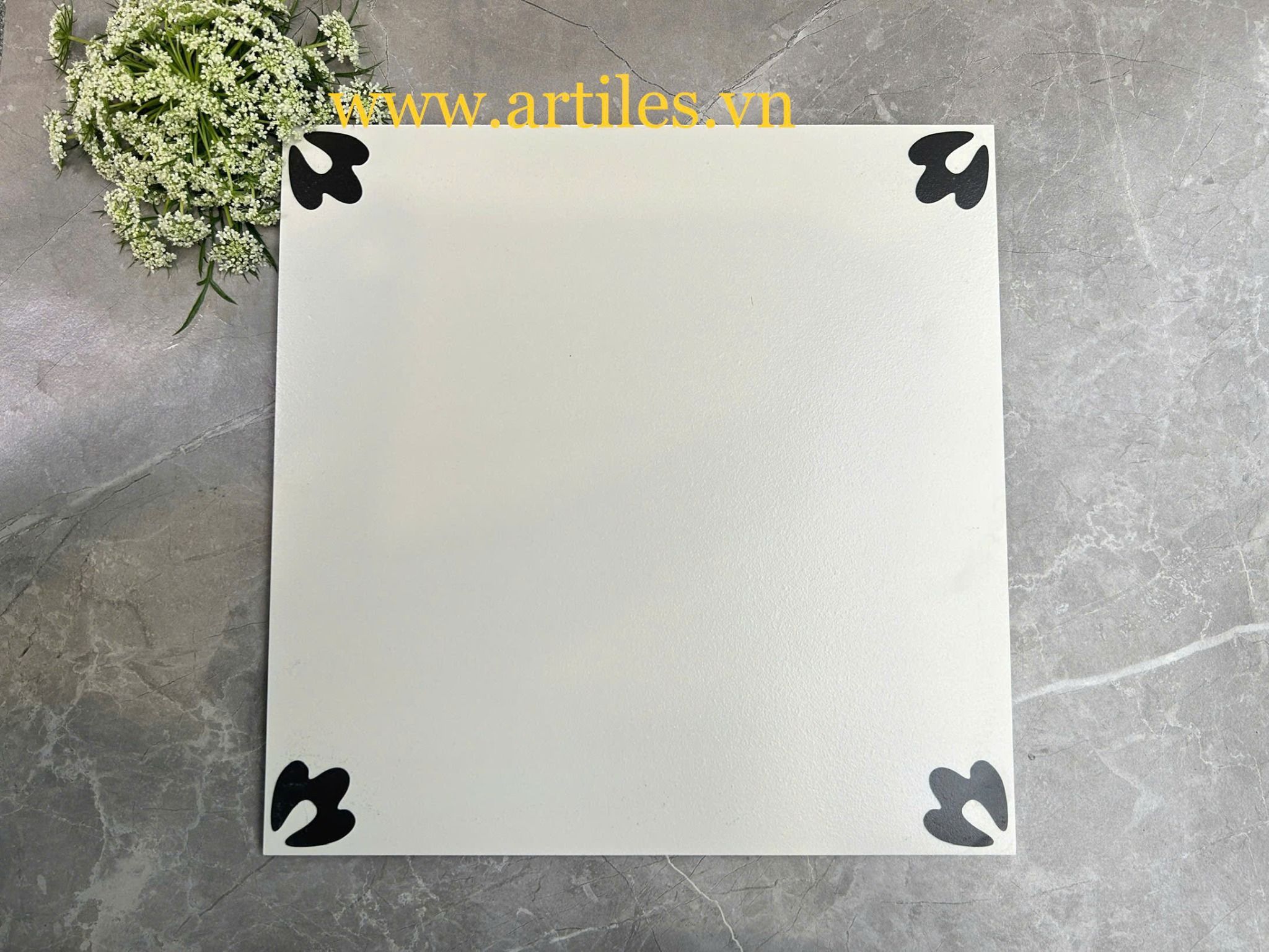 Gạch bông đen nhỏ nền trắng