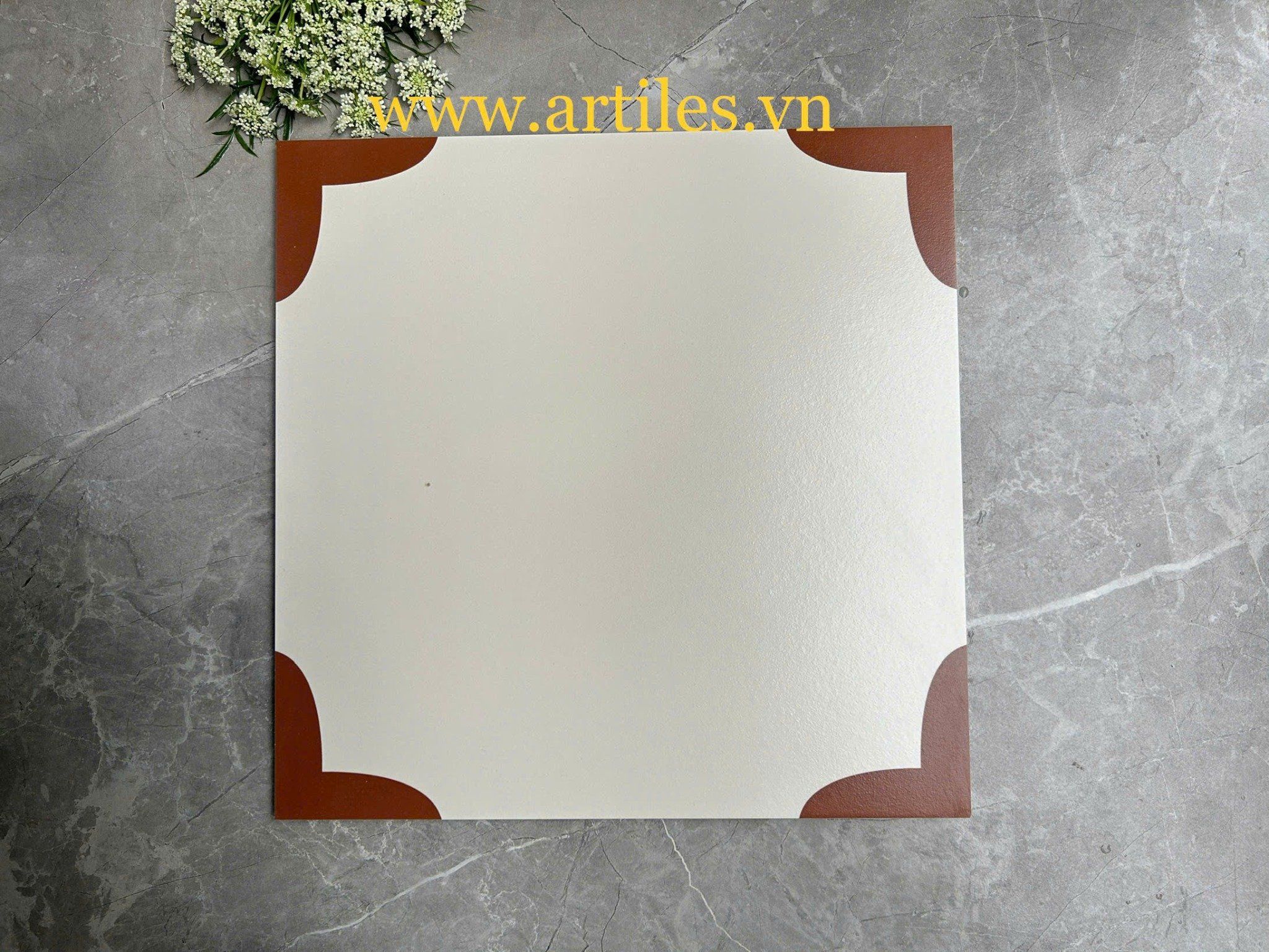 Gạch bông 30x30