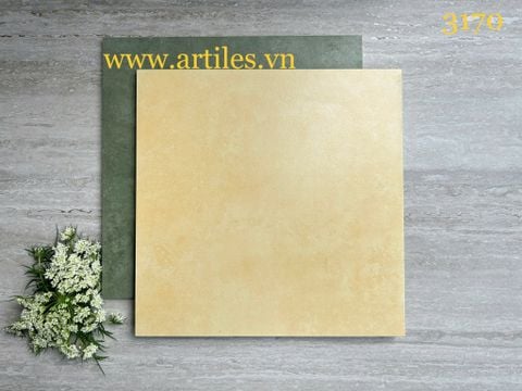  Gạch bông 30x30 