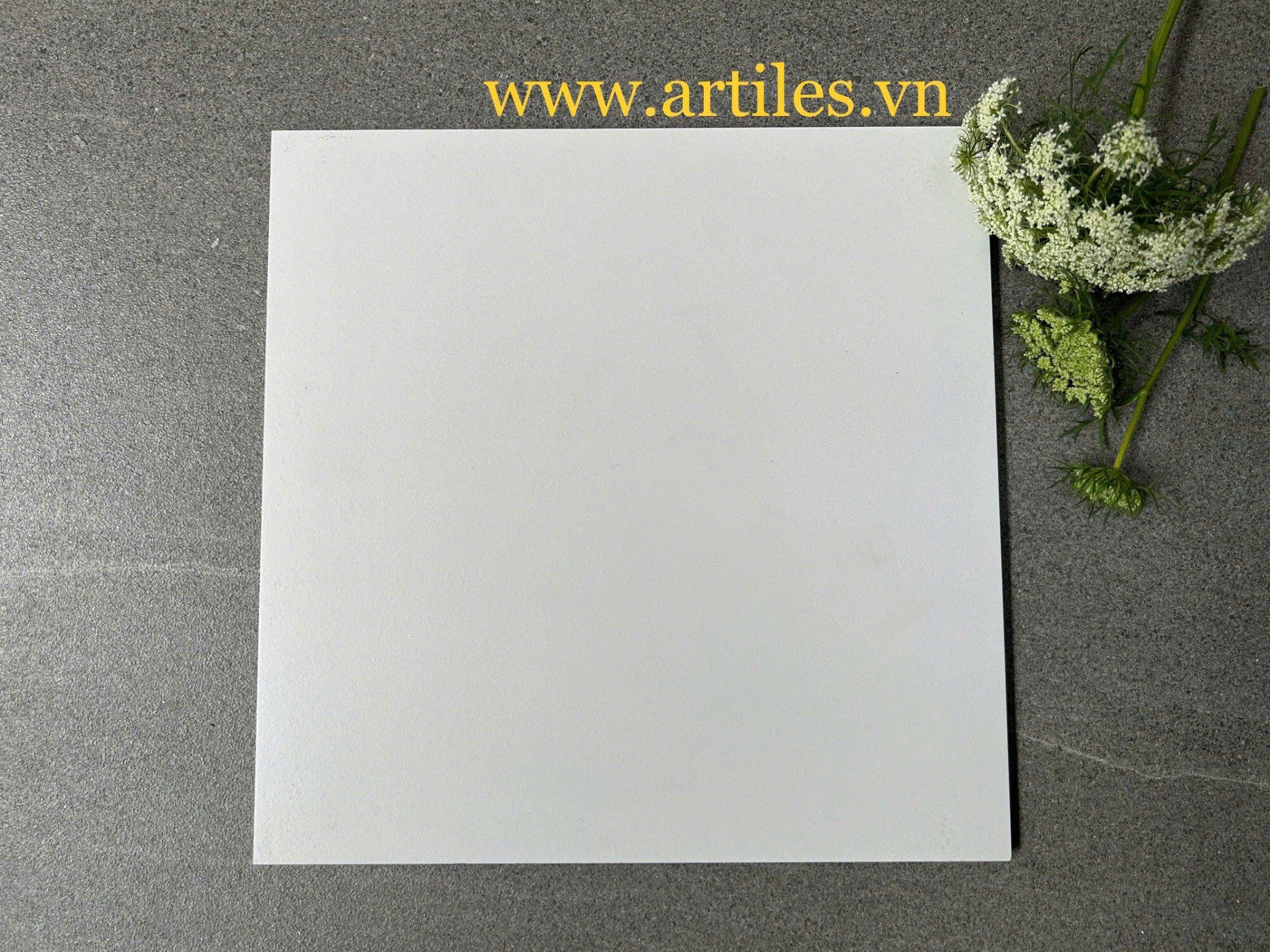 Gạch bông 30x30