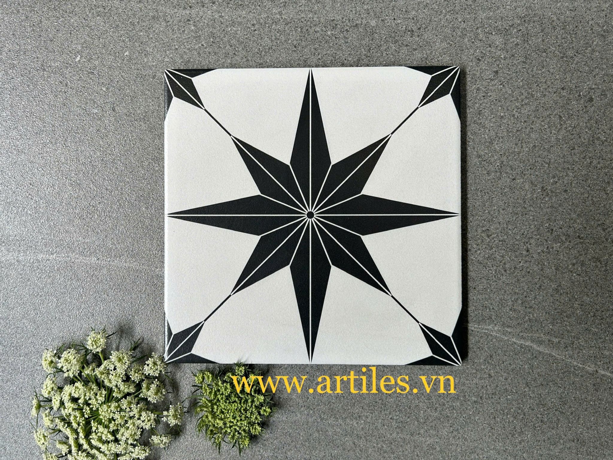 Gạch bông ngôi sao đen trắng