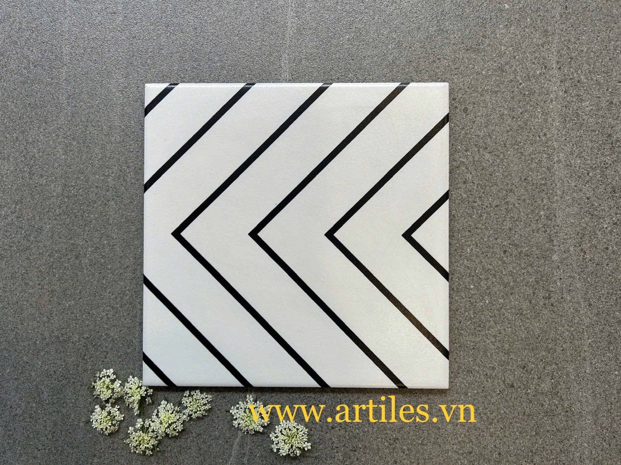 Gạch bông 20x20