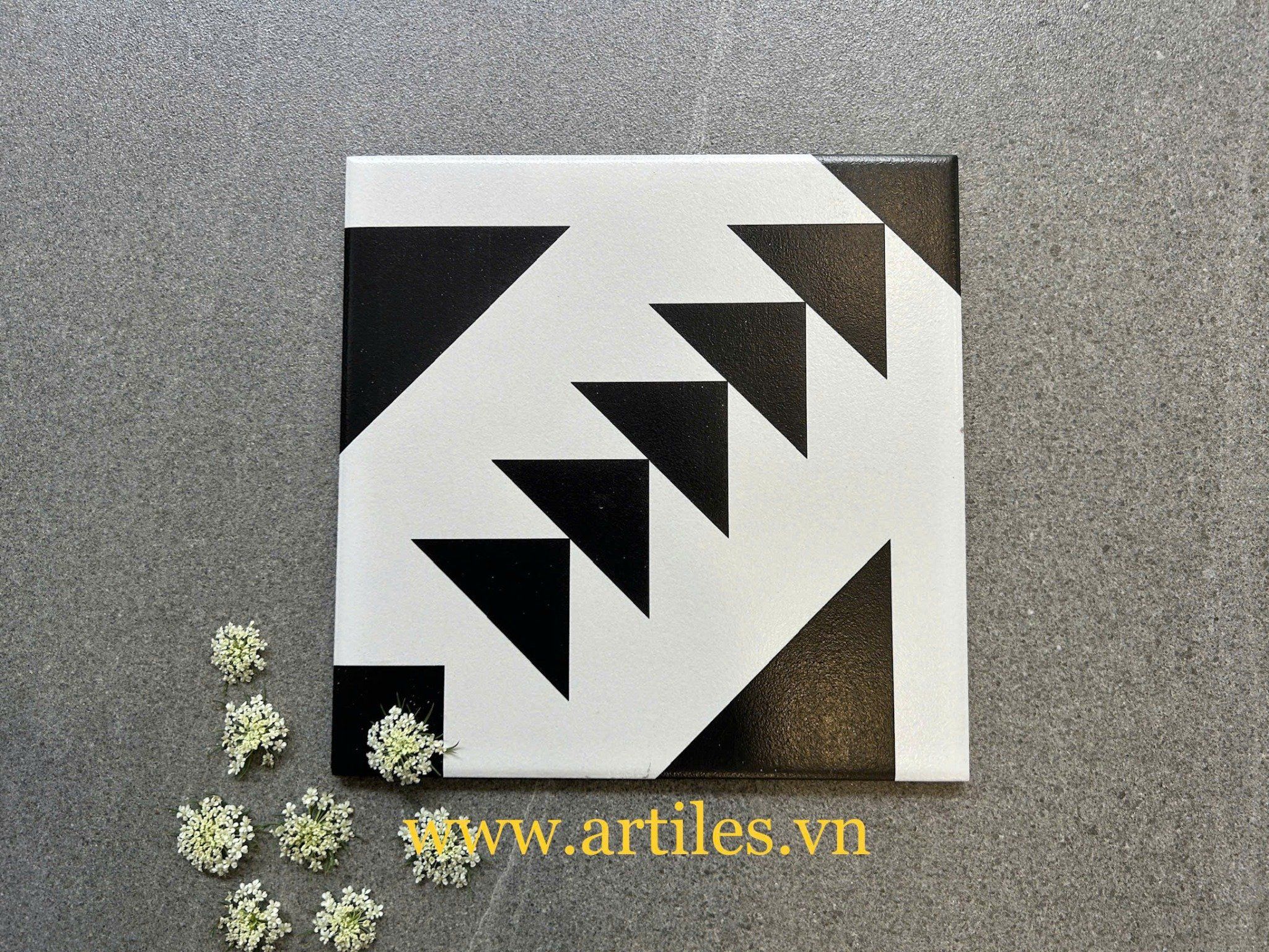 Gạch bông 20x20