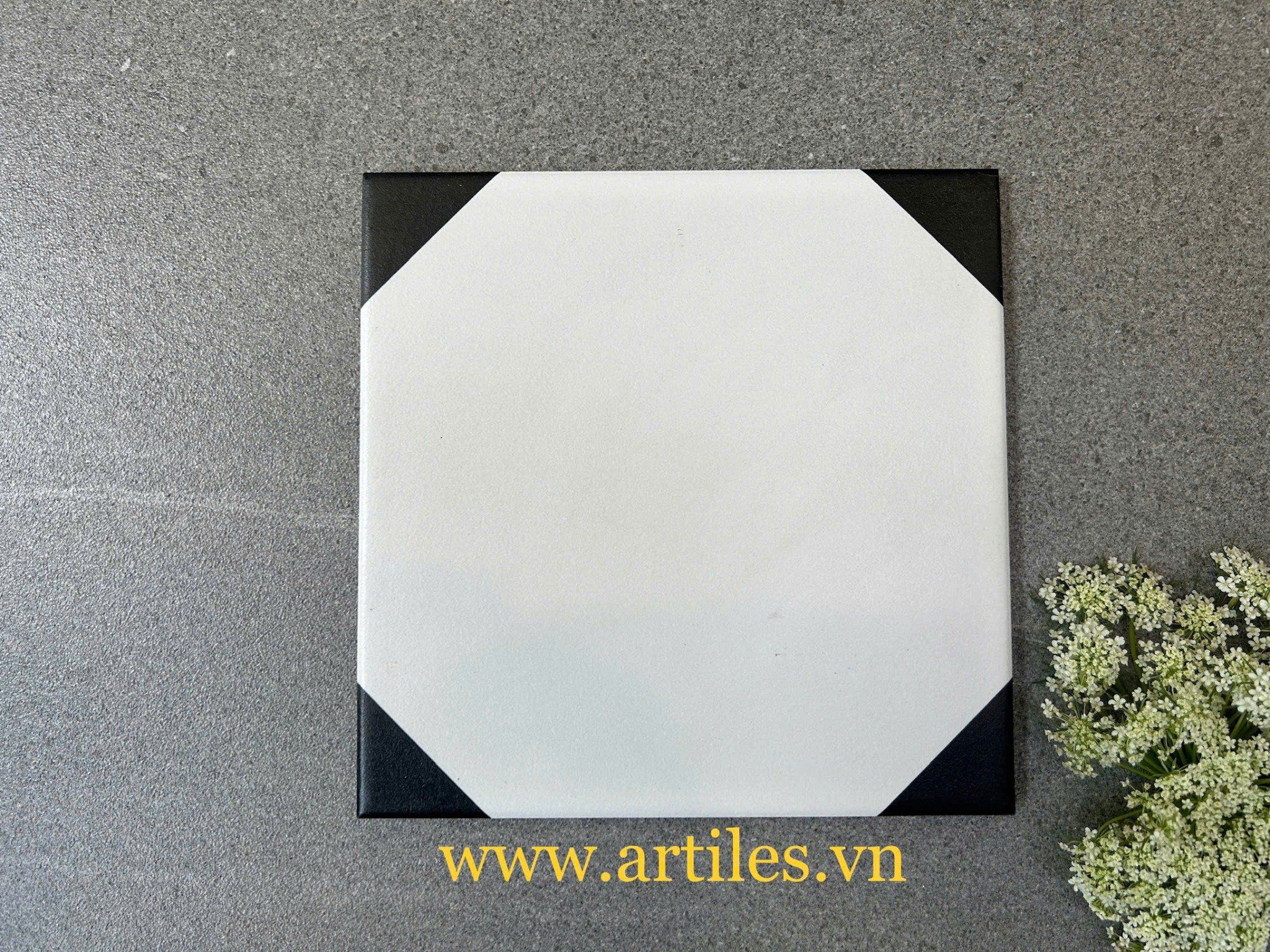 Gạch bông 20x20