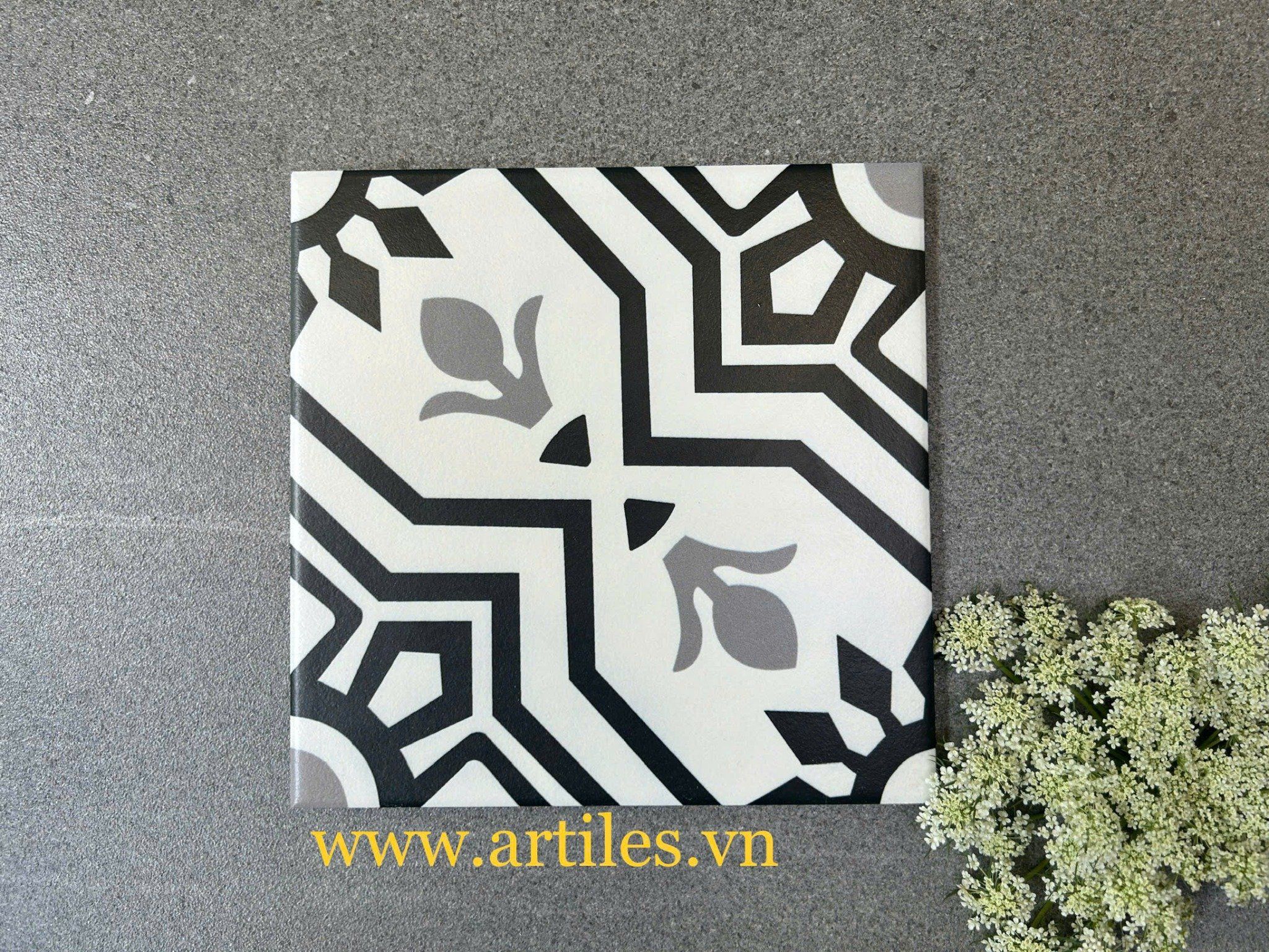 Gạch bông 20x20