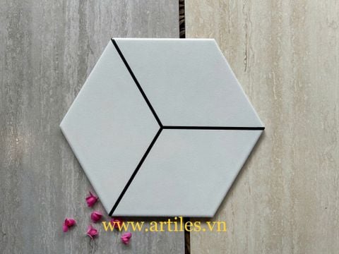  Lục giác 3D trắng 