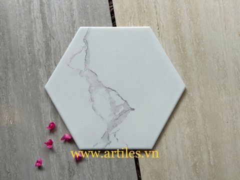  Lục giác carrara 