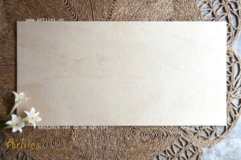 Gạch ốp lát nhám sần vân đá 60x120cm Art 