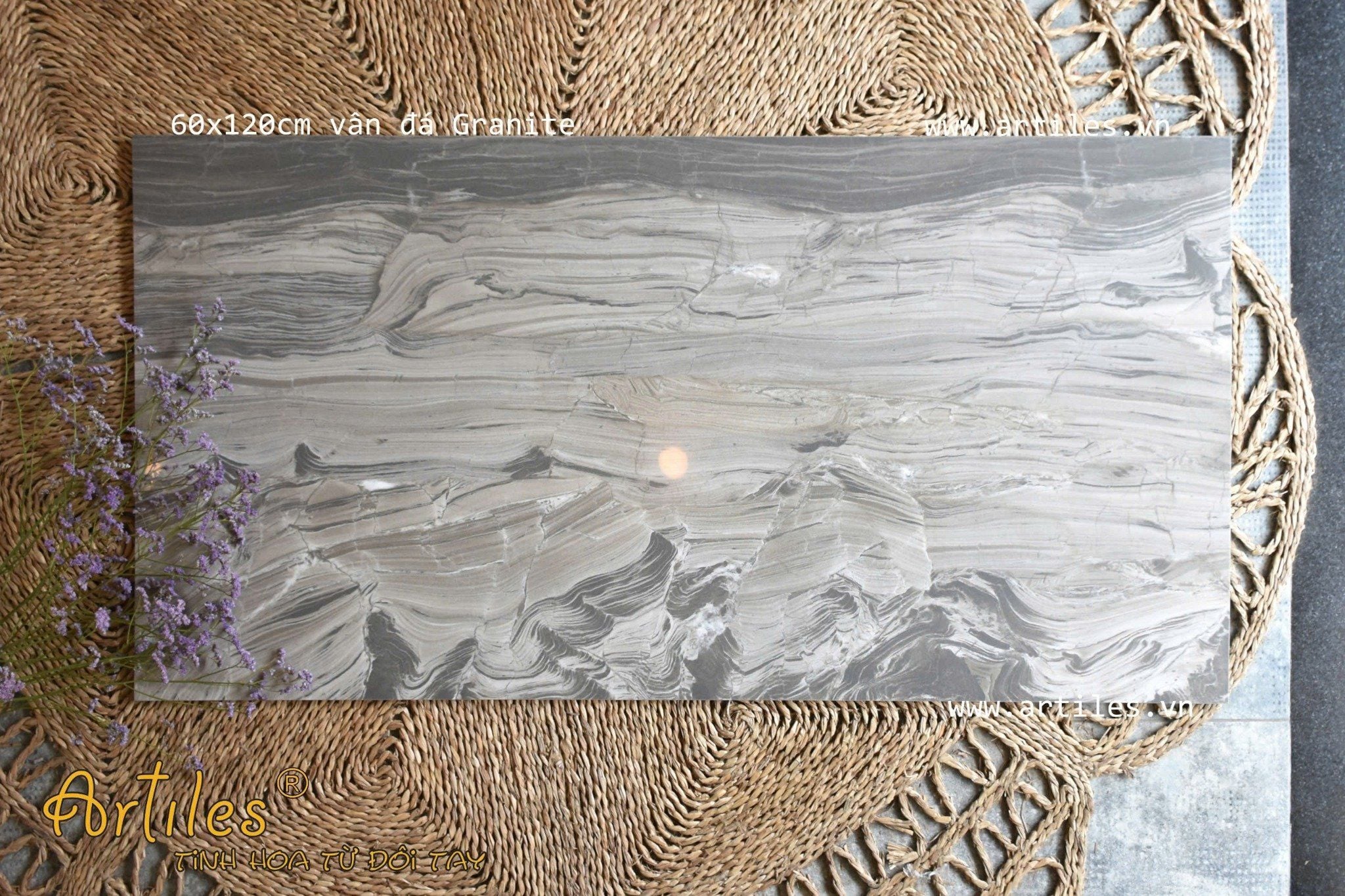 Gạch ốp lát xương màu ArtP62112