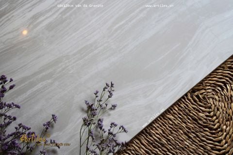  Gạch ốp lát xương màu ArtP62111 